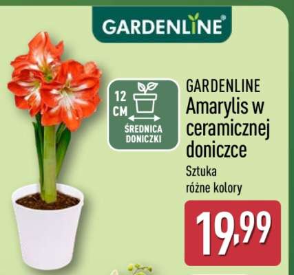 GARDENLINE