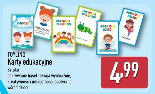 TOYLINO Karty edukacyjne