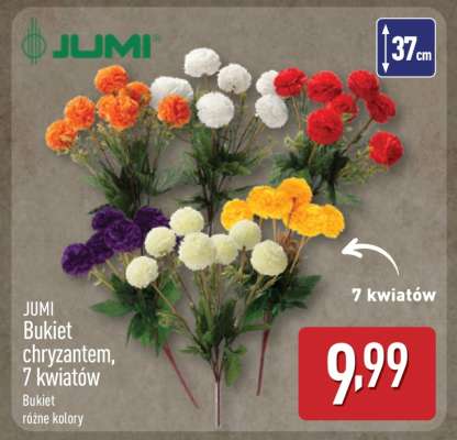 JUMI Bukiet chryzantem, 7 kwiatów