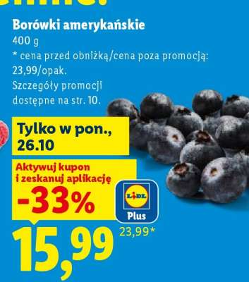 Borówki amerykańskie
