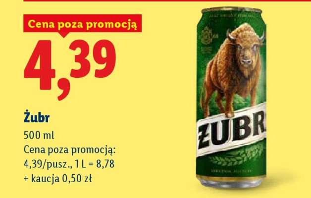 Żubr