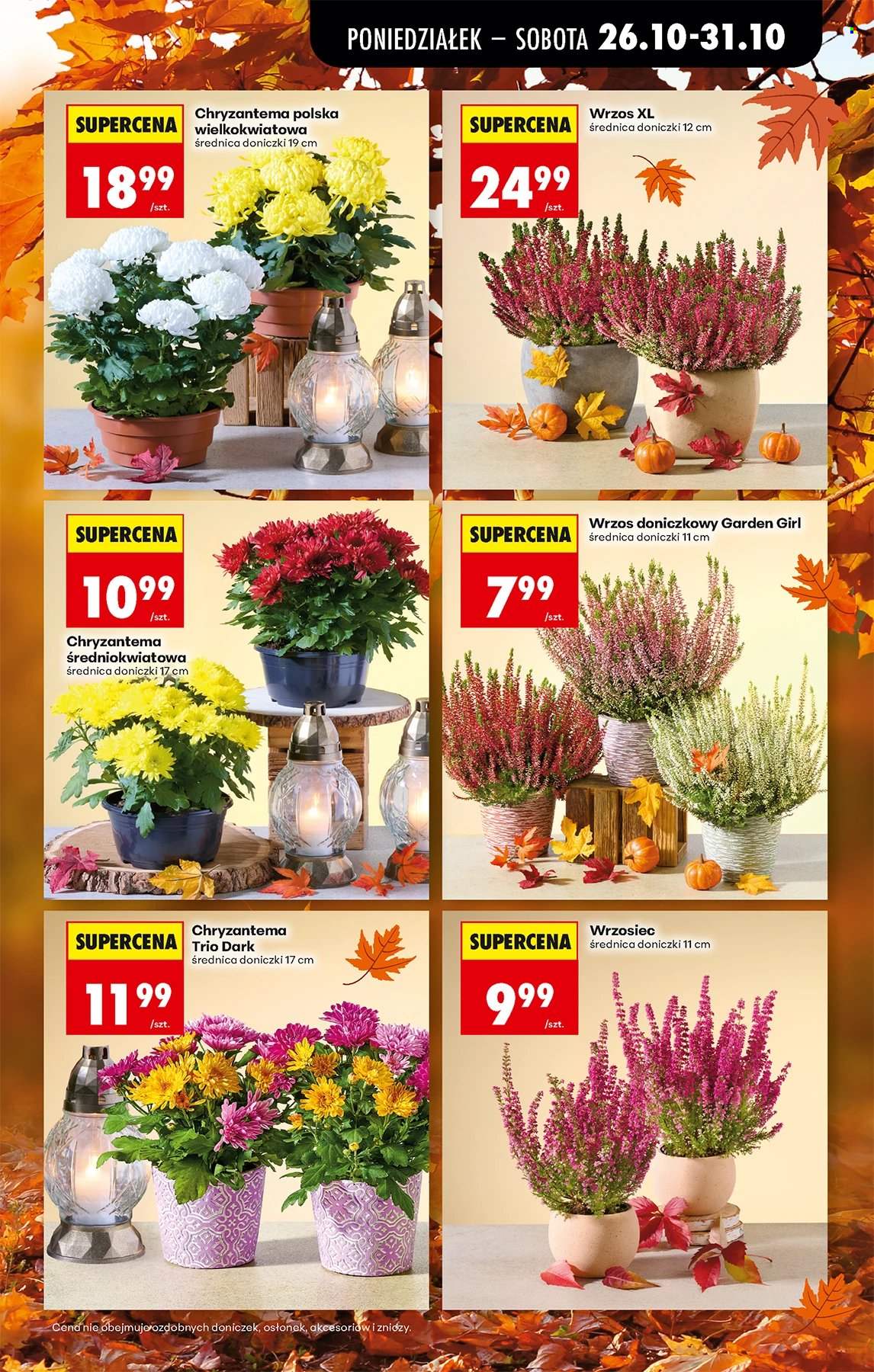 Gazetka Biedronka - 26.10.2026 - 31.10.2026. Strona 17