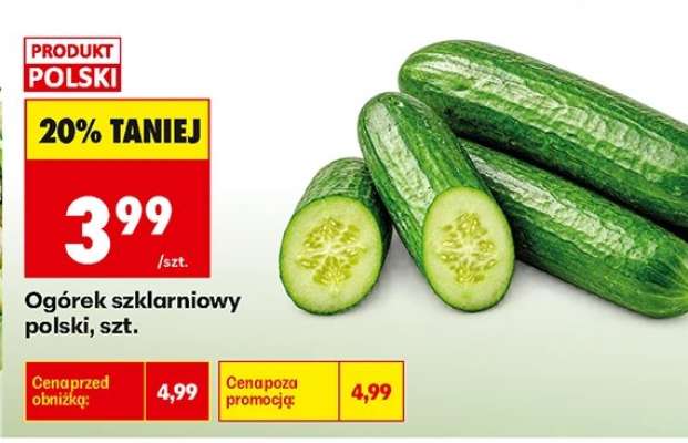 Ogórek szklarniowy polski , szt