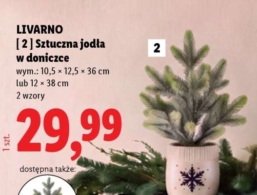 LIVARNO Sztuczna jodła w doniczce