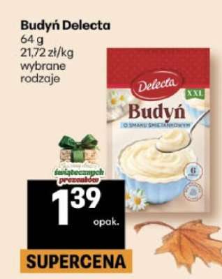 BUDYŃ DELECTA