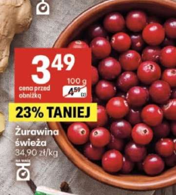 Żurawina świeża