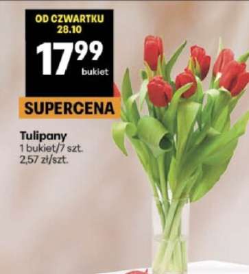 Tulipany