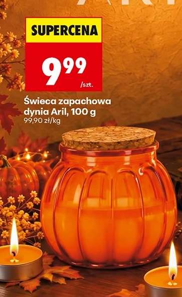 Świeca zapachowa dynia Aril, 100 g