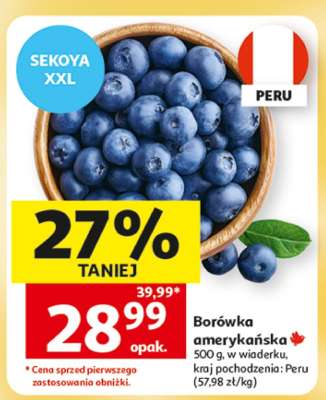 Borówka amerykańska