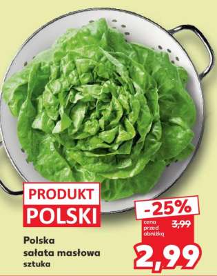 Polska sałata masłowa sztuka