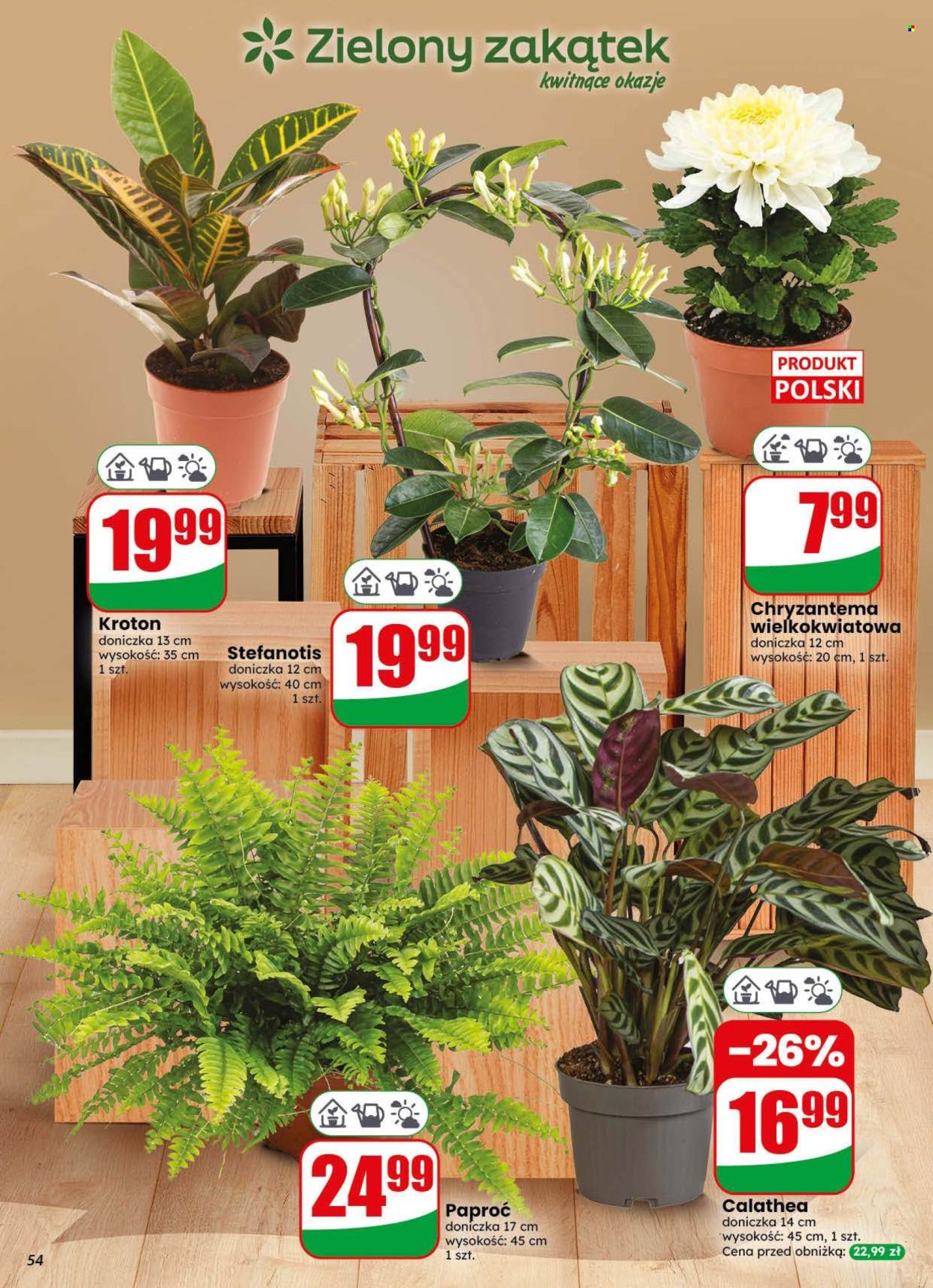 Gazetka Dino - 28.10.2026 - 3.11.2026. Strona 54