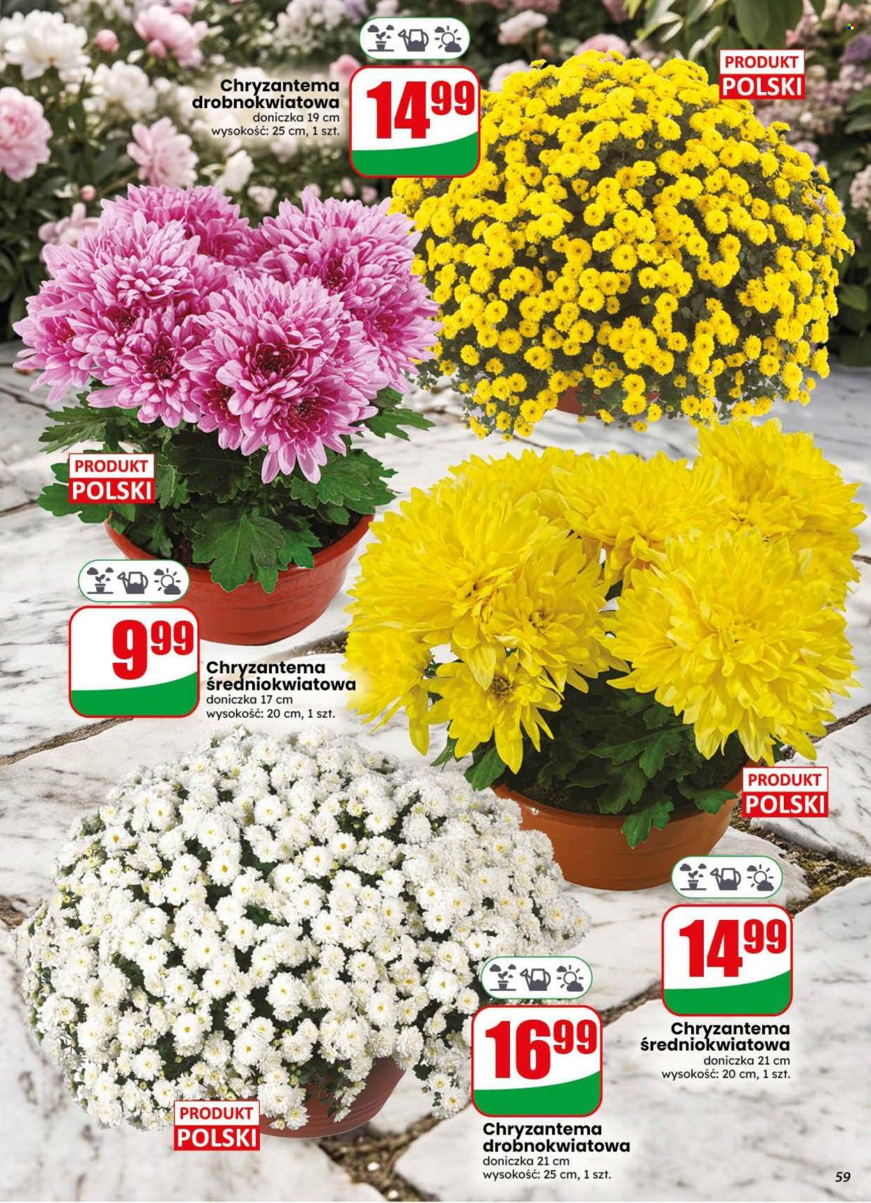 Gazetka Dino - 28.10.2026 - 3.11.2026. Strona 59