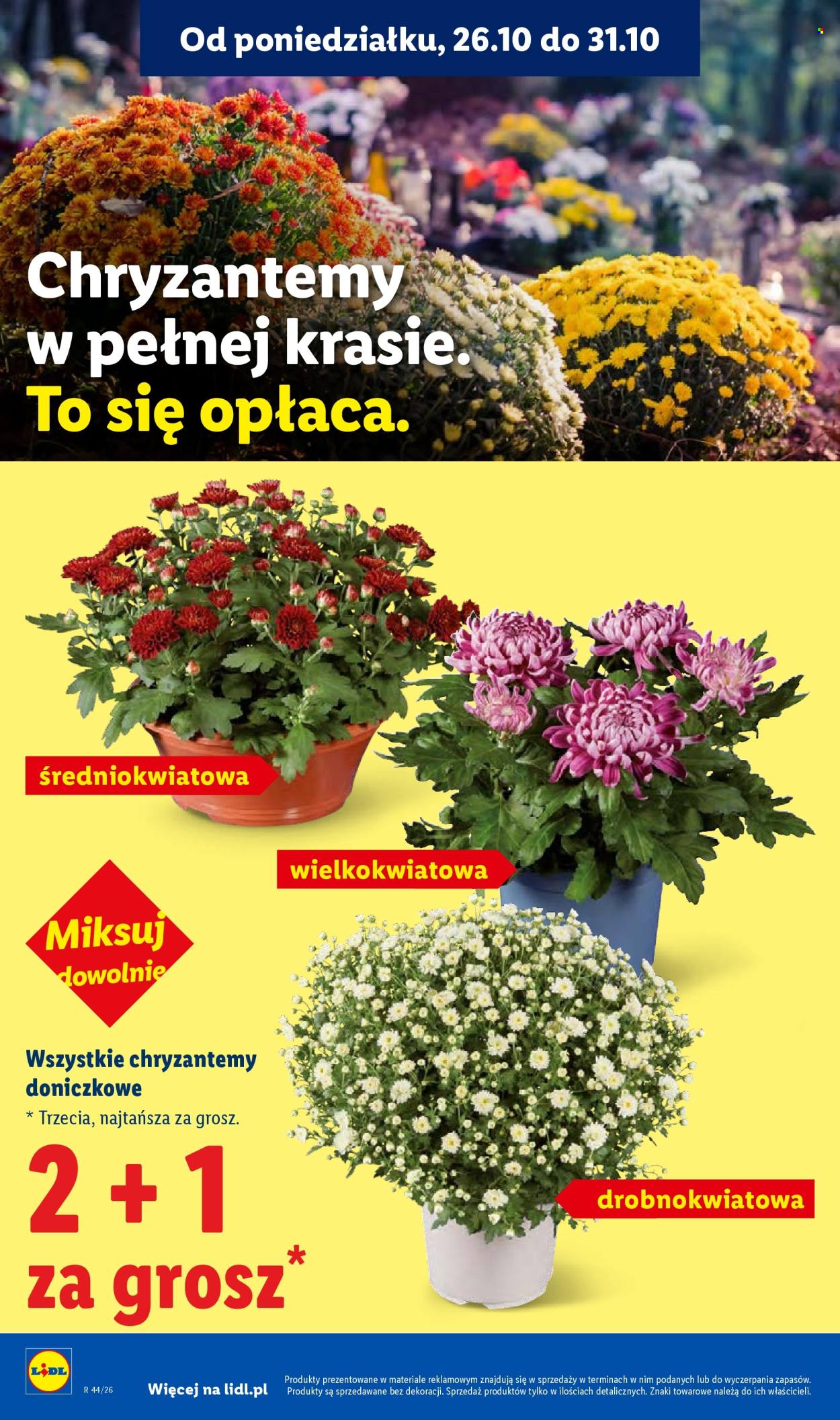 Gazetka Lidl - 29.10.2026 - 31.10.2026. Strona 4