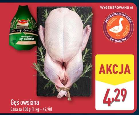 Gęś owsiana