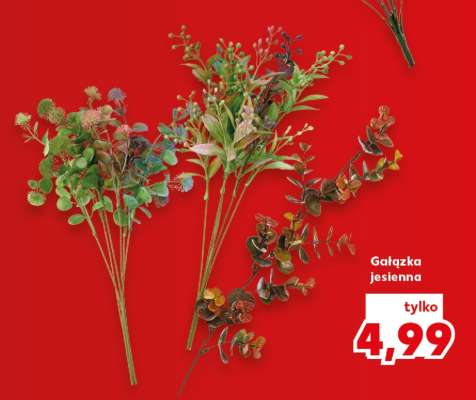 Gałązka jesienna