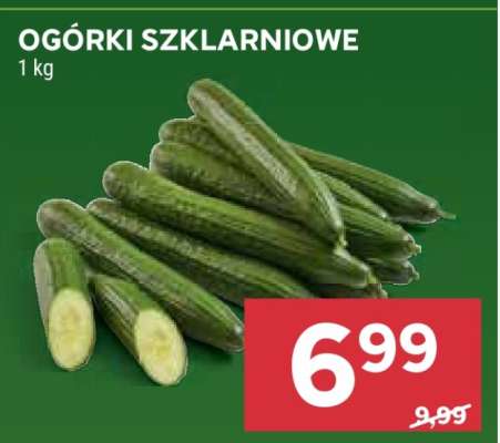 Ogórki szklarniowe